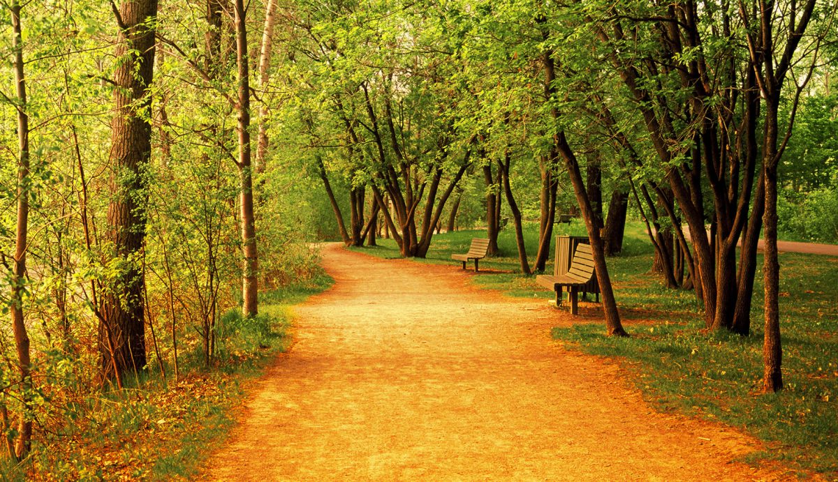 Nature