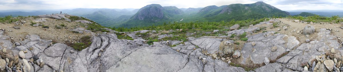 Nature